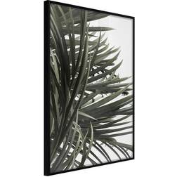 Arkiio Affisch In the Shade of Palm Trees [Poster] 30x45 Poster